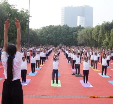 Yoga Day